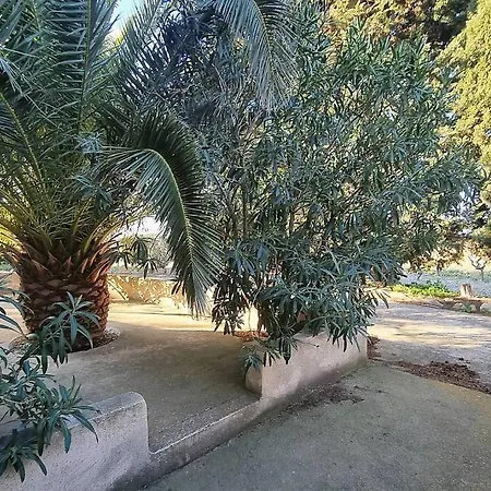 Maison De Campagne Vue Etang De Thau ! Frontignan Extérieur photo