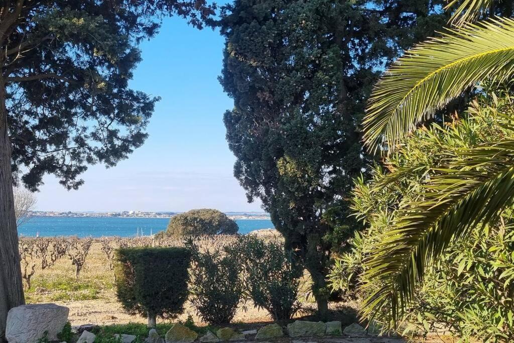 Vue Etang De Thau ! Frontignan